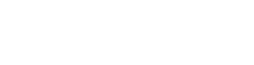 BVIP logo